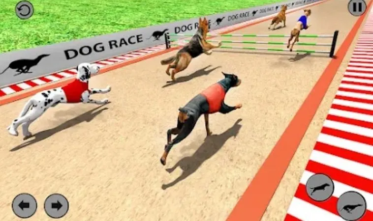 Khám Phá Cách Chơi Game Nhanh Đua Chó Tại ABC8: Hướng Dẫn Chi Tiết 2 Giao diện chơi Game Nhanh Đua Chó Tại ABC8